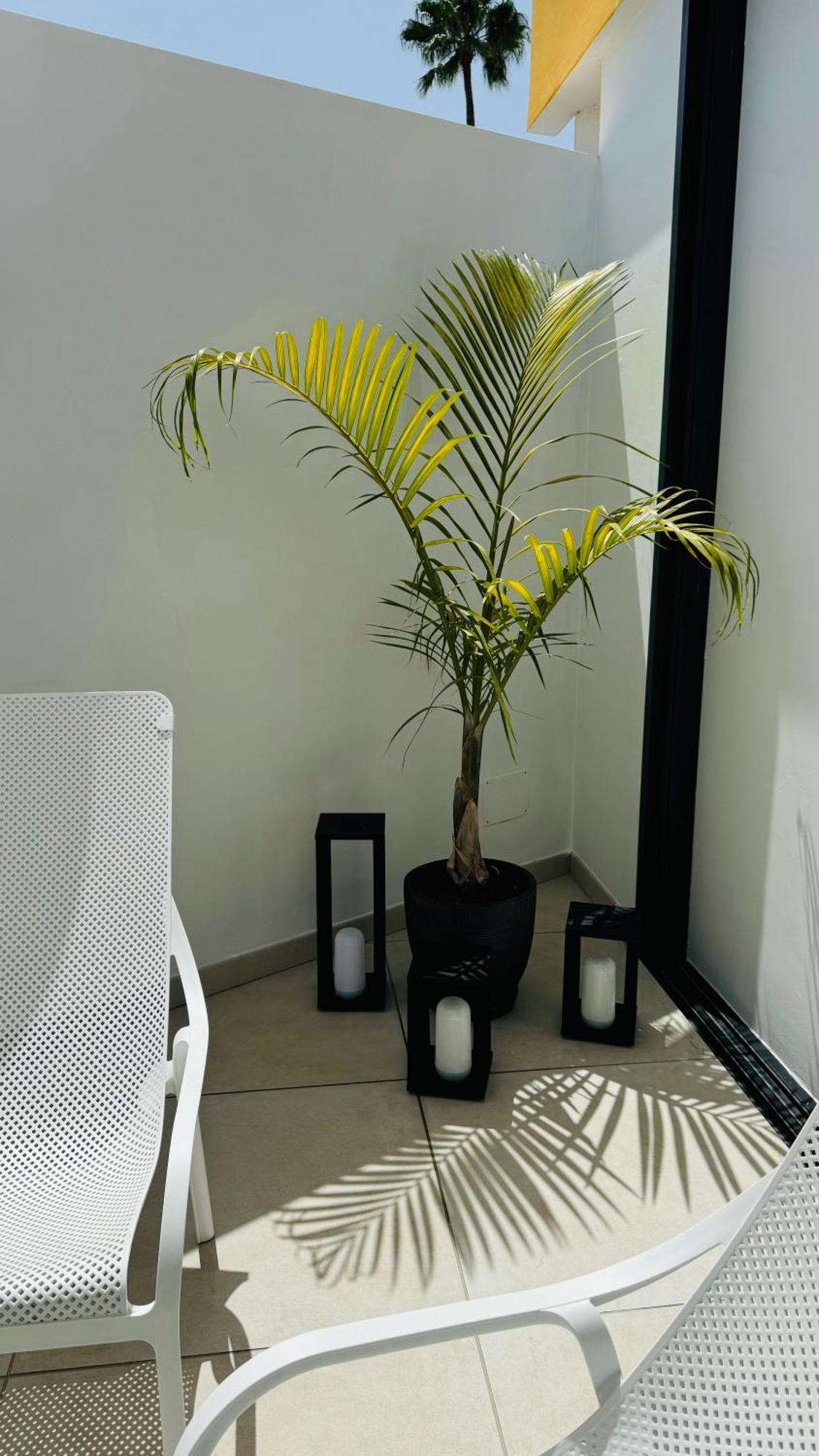 Bungalow Siena Center Playa Del Ingles มาสปาโลมาส ภายนอก รูปภาพ