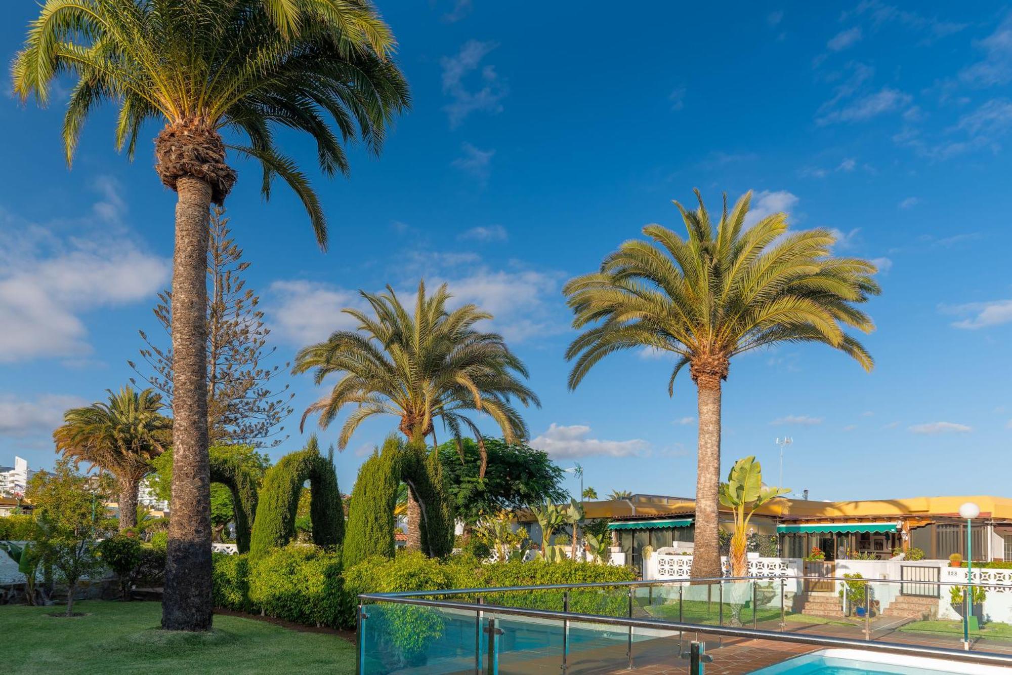 Bungalow Siena Center Playa Del Ingles มาสปาโลมาส ภายนอก รูปภาพ